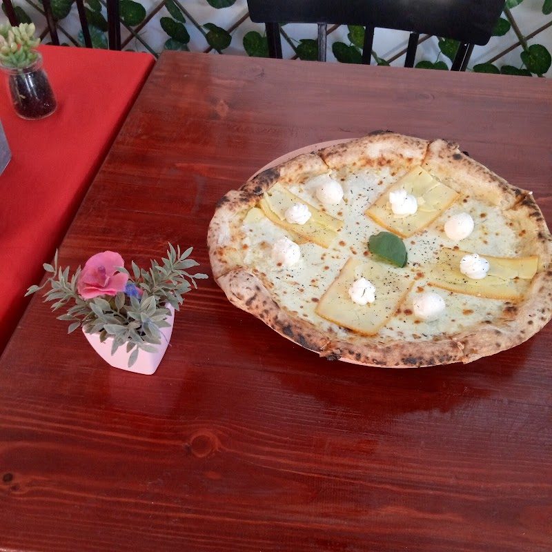 Cibo 619